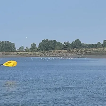 Maison Sur Une Riviere De Mer *